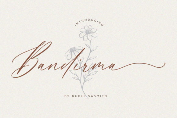 Bandirma Typeface: A Delicate Script for Editorial Design