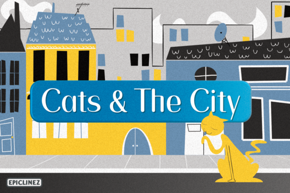 Cats and the City: A Handwritten Font for Makers