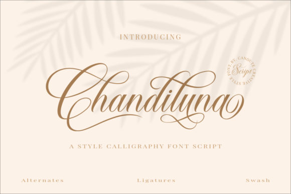 Chandiluna Font: Elevate Your Brand Identity