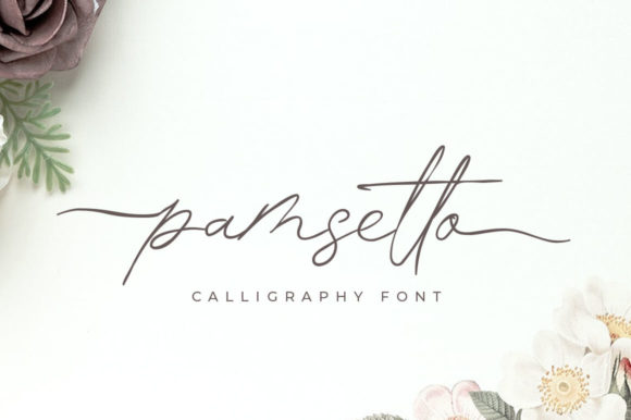 Pamsetto Font: A Web Designer’s Review