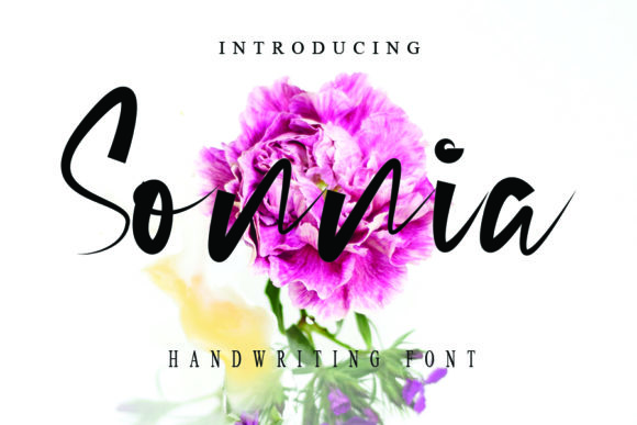 Sonnia: A Handwritten Font for Digital Design
