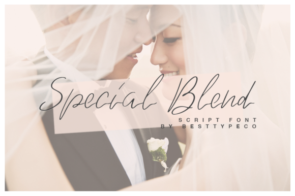 Special Blend Font for Polished Branding