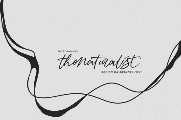 The Naturalist Font: A Designer’s Guide to Urban Script